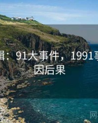 产业逻辑：91大事件，1991事件的前因后果