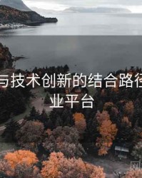 91官网与技术创新的结合路径，91创业平台