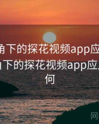 技术视角下的探花视频app应用前景，技术视角下的探花视频app应用前景如何