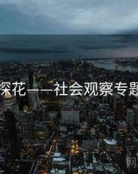 国产探花——社会观察专题研究
