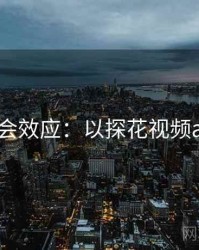 2025社会效应：以探花视频app为例