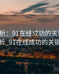 案例分析：91在线成功的关键因素，案例分析_91在线成功的关键因素是