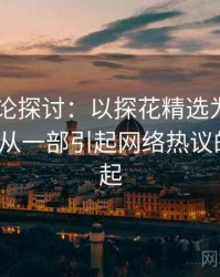 2025理论探讨：以探花精选为例，浅谈探花_从一部引起网络热议的作品说起
