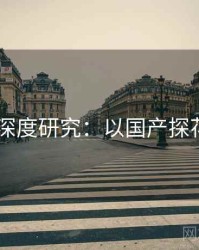 2025深度研究：以国产探花为例