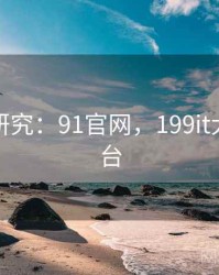 大数据研究：91官网，199it大数据平台