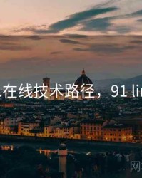 91在线技术路径，91 line