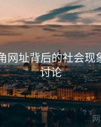 探讨海角网址背后的社会现象，海角讨论