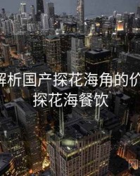 多维度解析国产探花海角的价值意义，探花海餐饮