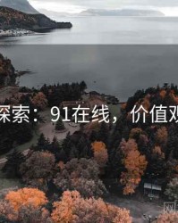 价值探索：91在线，价值观探索