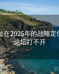海角网址在2025年的战略定位，海角论坛打不开