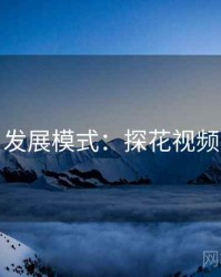 发展模式：探花视频