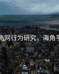 海角网行为研究，海角平台