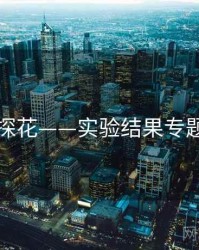 国产探花——实验结果专题研究