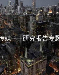 蜜桃传媒——研究报告专题研究