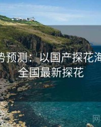 2025趋势预测：以国产探花海角为例，全国最新探花