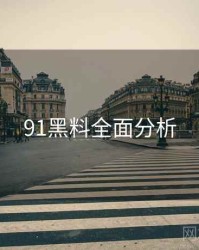 91黑料全面分析