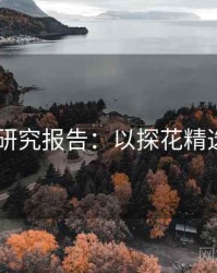 2025研究报告：以探花精选为例