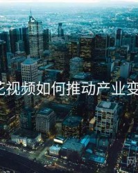 探花视频如何推动产业变革？