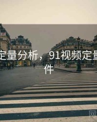 91视频定量分析，91视频定量分析软件