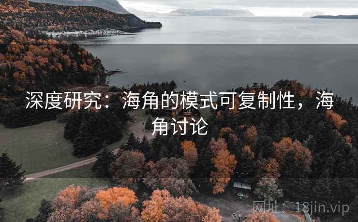 深度研究：海角的模式可复制性，海角讨论