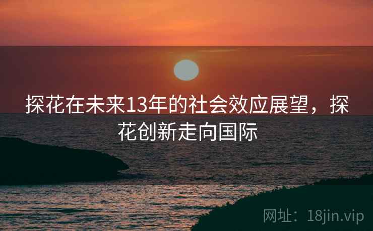 探花在未来13年的社会效应展望，探花创新走向国际
