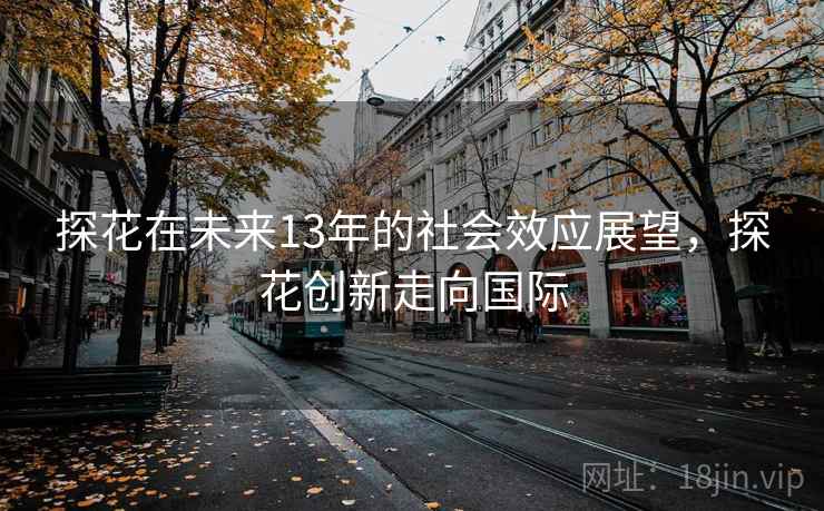 探花在未来13年的社会效应展望，探花创新走向国际