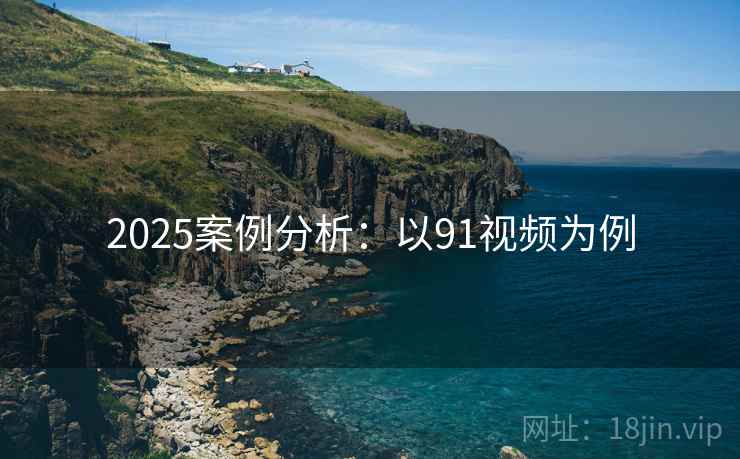 2025案例分析：以91视频为例