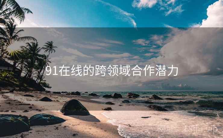 91在线的跨领域合作潜力