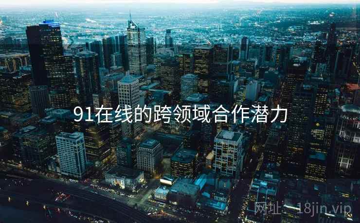 91在线的跨领域合作潜力
