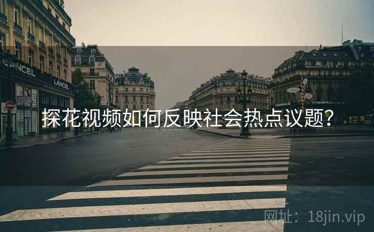 探花视频如何反映社会热点议题？