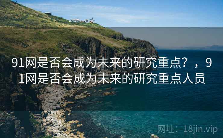 91网是否会成为未来的研究重点？，91网是否会成为未来的研究重点人员