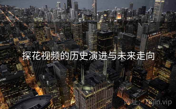 探花视频的历史演进与未来走向