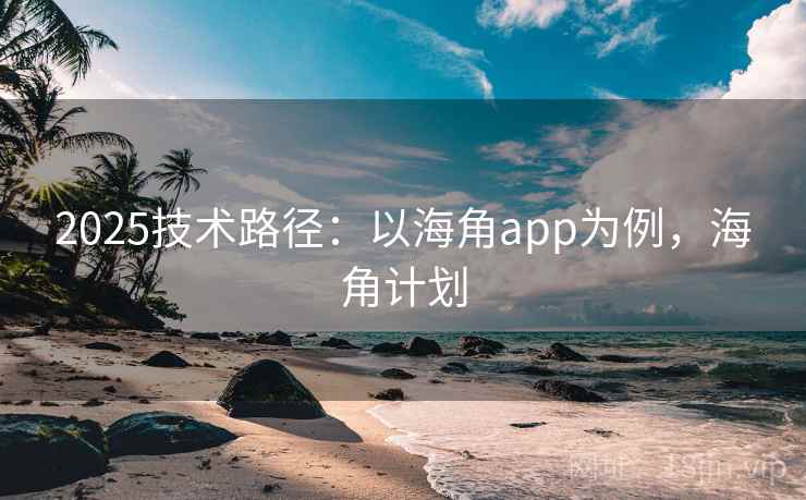 2025技术路径：以海角app为例，海角计划