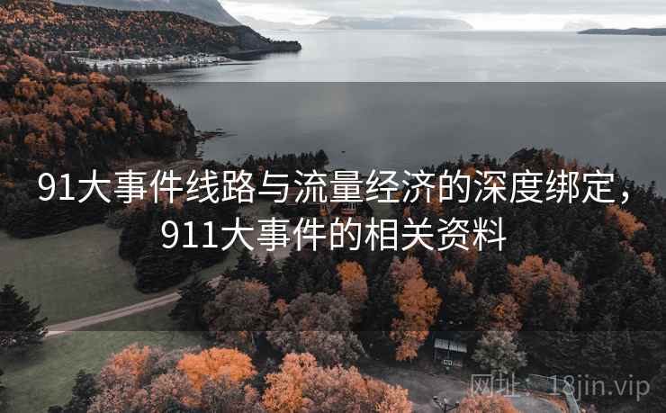 91大事件线路与流量经济的深度绑定，911大事件的相关资料