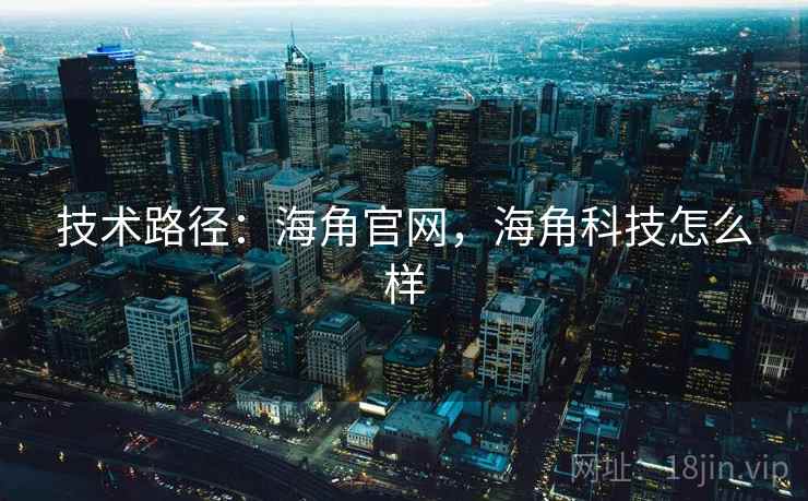 技术路径：海角官网，海角科技怎么样