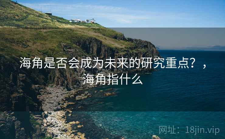 海角是否会成为未来的研究重点？，海角指什么