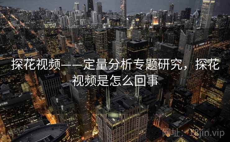 探花视频——定量分析专题研究，探花视频是怎么回事