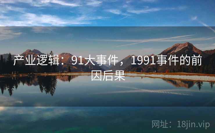 产业逻辑：91大事件，1991事件的前因后果