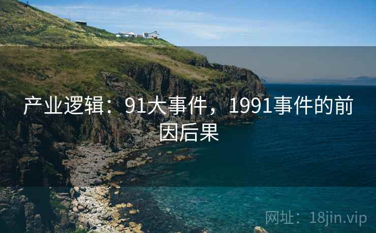 产业逻辑：91大事件，1991事件的前因后果